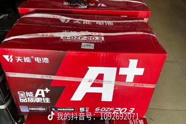 电动车正常行驶过程中突然不走了的8大原因